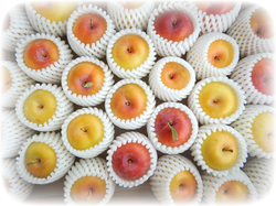 s_prum (1) s_prum (1)