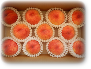 s_momo (2) s_momo (2)