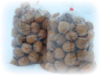 (,カシグルミ (,カシグルミ