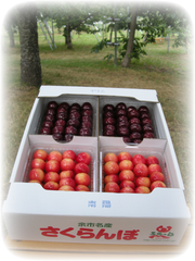 南陽とサミットの詰め合わせ 南陽とサミットの詰め合わせ